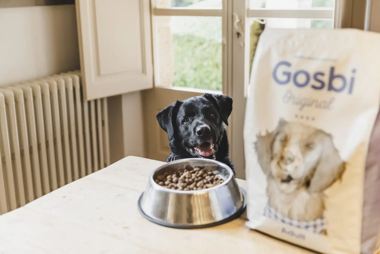 私たちが選ぶ道