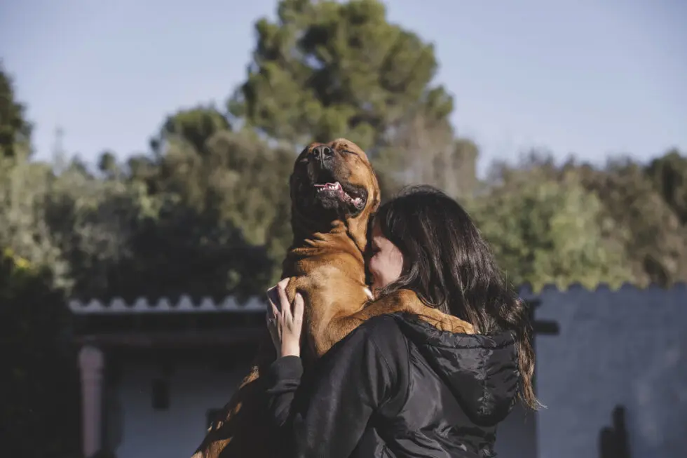犬を抱きしめる人物