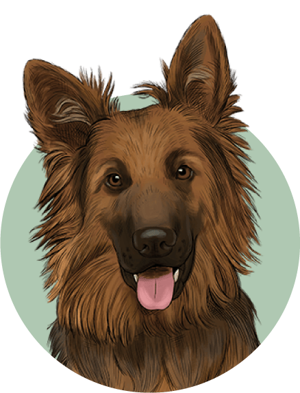 犬向け商品ページへ