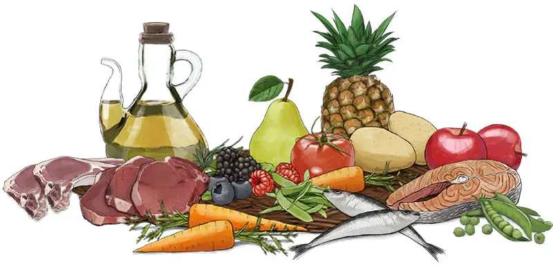 地中海食材のイラスト