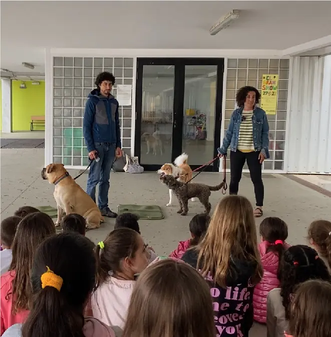 Animal Respect Challenge の様子