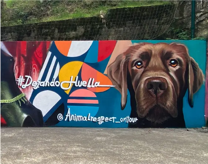 DejandoHuella の壁画