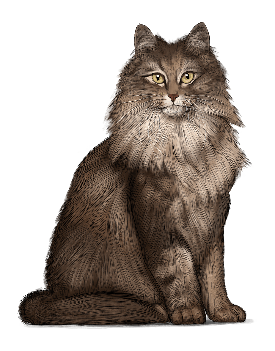 Exclusive Grain Free