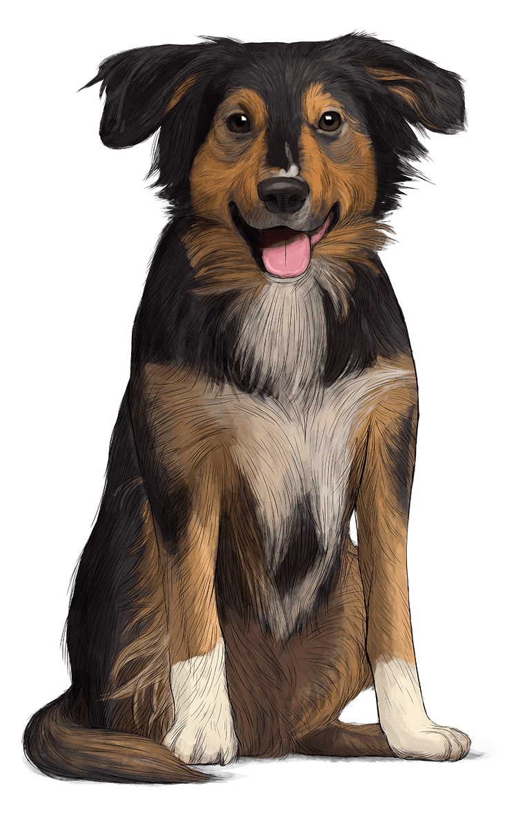 Exclusive Grain Free